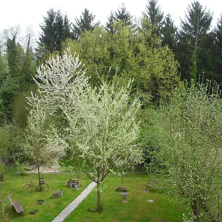 Le Jardin De L'ill ベッド・アンド・ブレックファスト Huttenheim